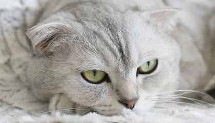 涟源伴游,定制QQ:3494206190微信:act1322