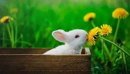 涟源伴游，定制QQ：3494206190微信：act1322